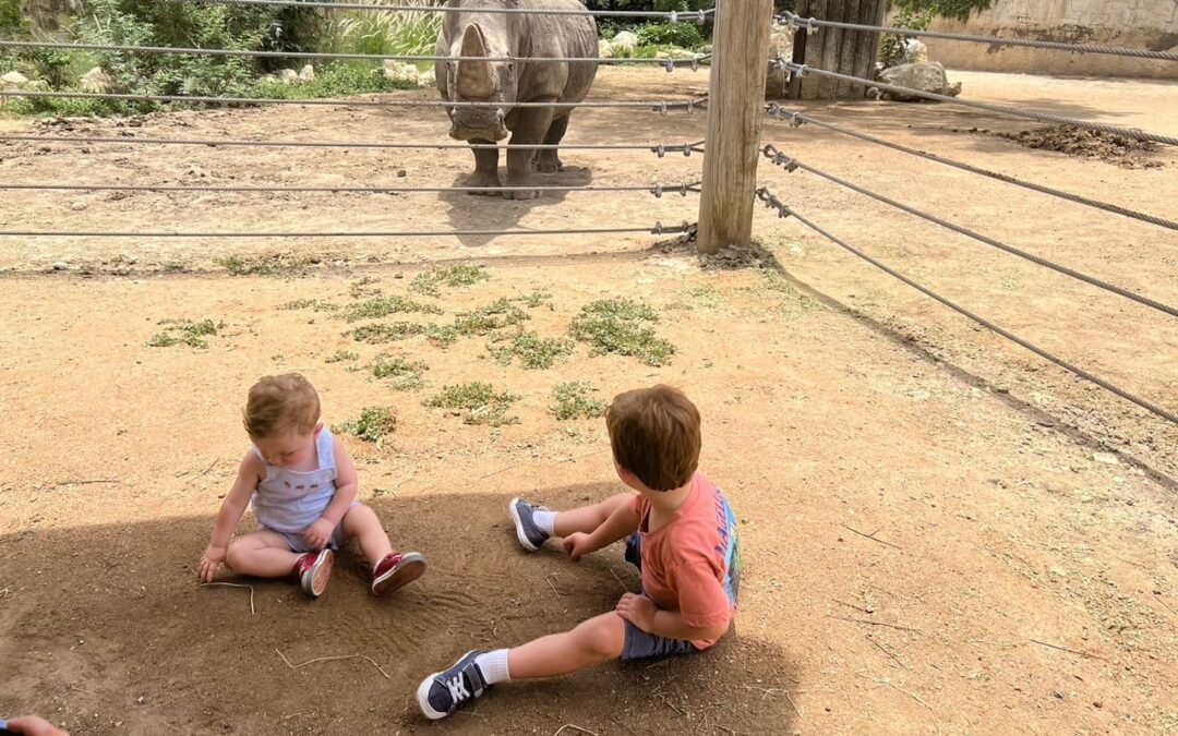 Discover the Wonders of the San Antonio Zoo This Summer